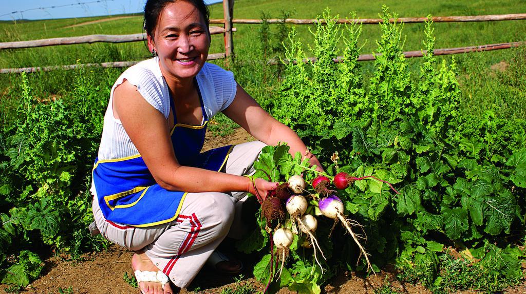 Steppe Nomads Eco Resort At Gungaluut Ulánbátor Kültér fotó